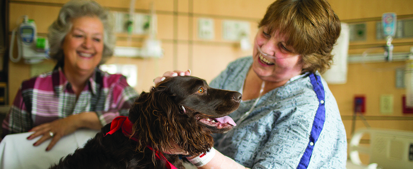 Volunteer and therapy dog greets an inpatient